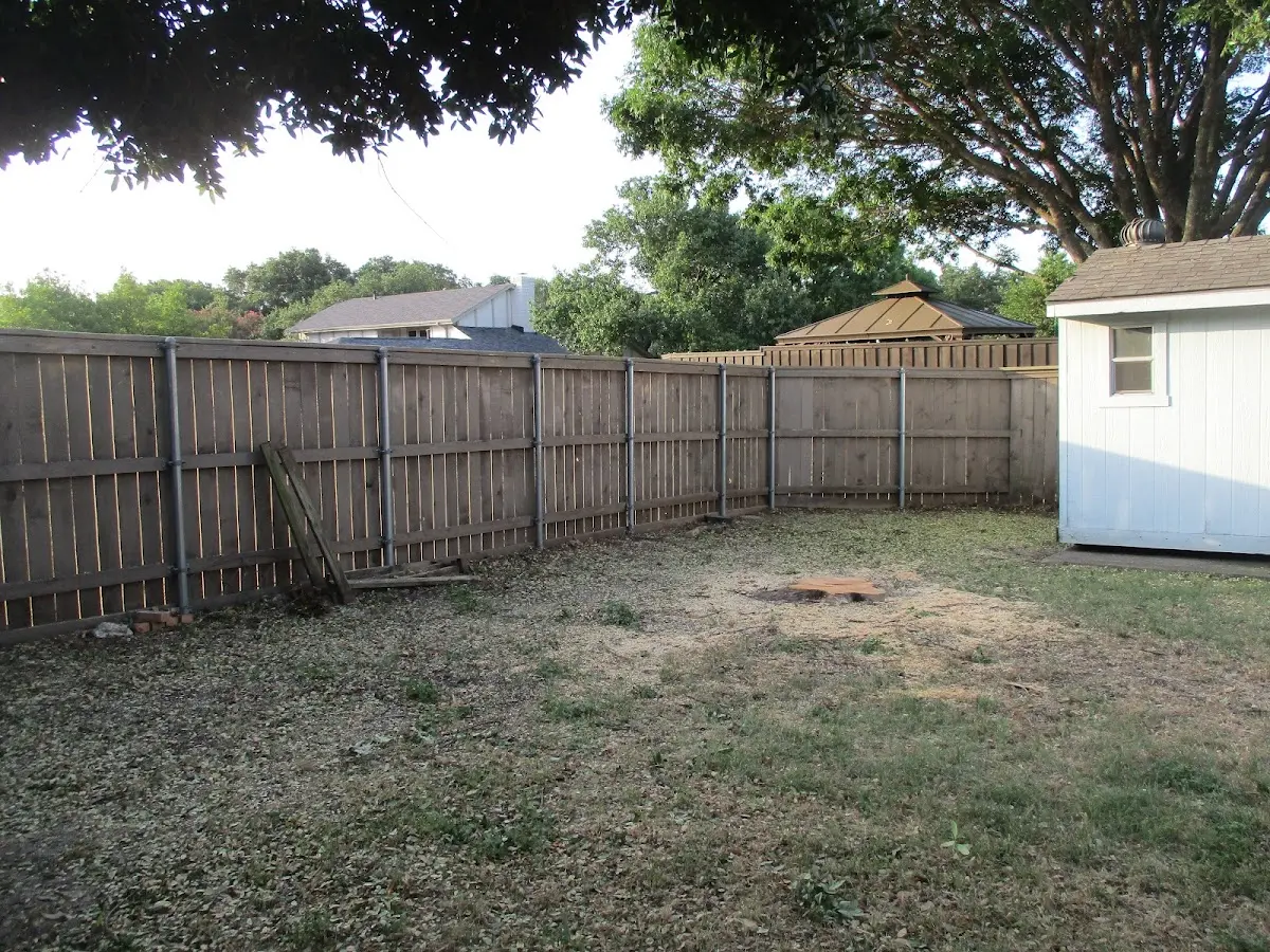 Cleared yard after professional tree removal in Whitehouse